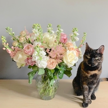 Luxury Feline Friendly Flowers