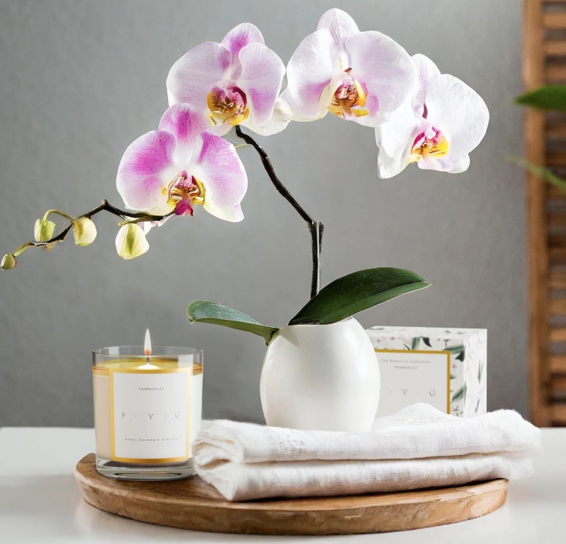 Pemberley Candle
